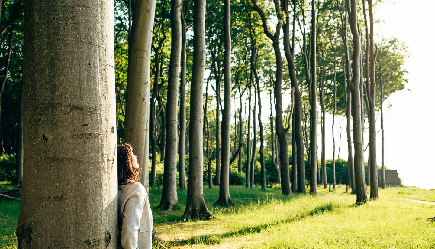 Waldbaden tut der Seele gut, © TMV/H2F