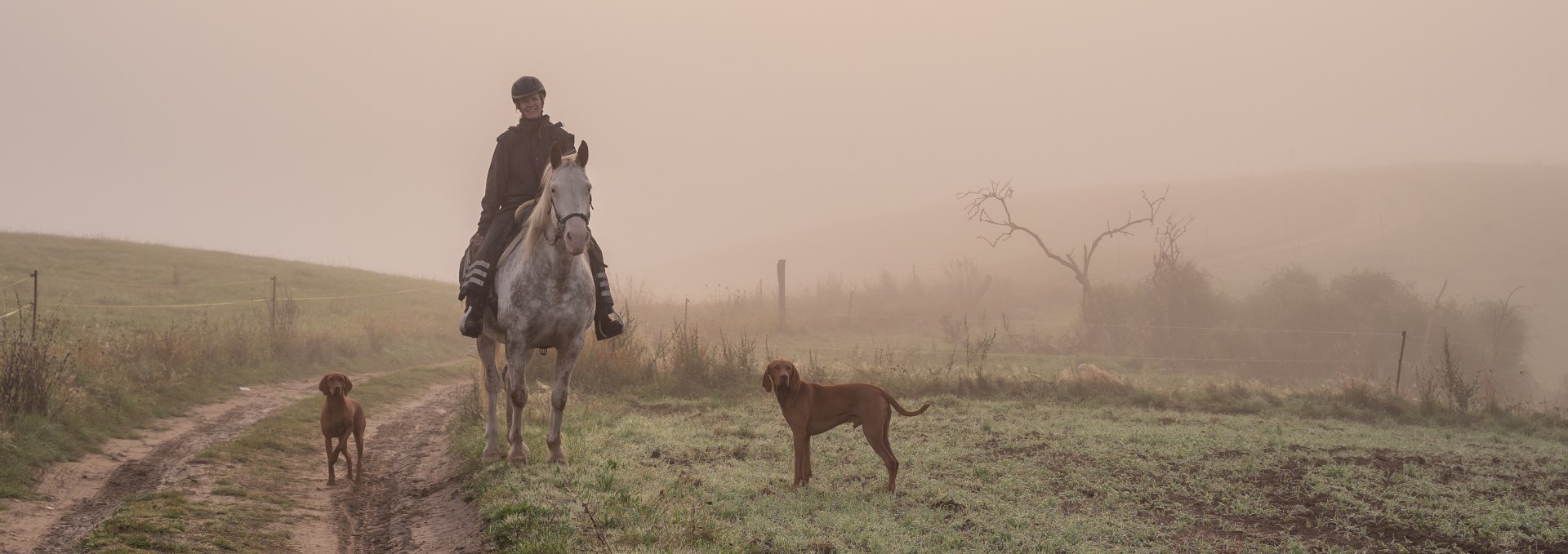 Ausritt durchs Recknitztal bei Nebel mit Hunden, © TMV/herzenspferd.de