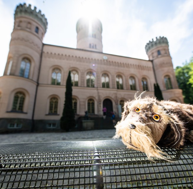 Puppenspielführung mit Schlosshund Waldi von und mit Birgit Schuster, © (c) SSGK M-V, Foto: Peter van Heesen