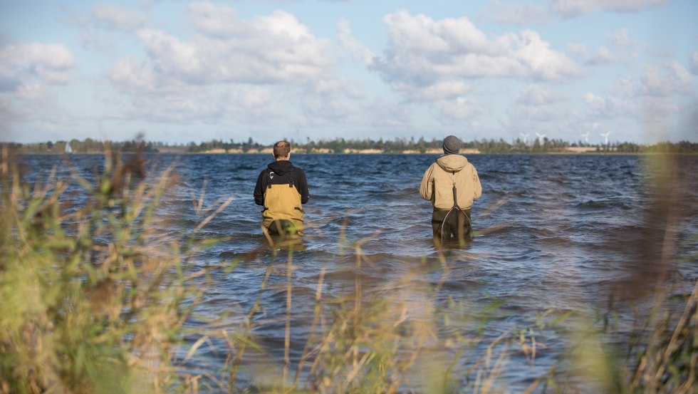 Gute Hecht-Hotspots erreicht man mit Wathose zum Beispiel im Großen Jasmunder Bodden, im Bereich der Wittower Fähre, im Kubitzer Bodden südlich von Barhöft oder im Greifswalder Bodden bei Tremt, © TMV/Läufer