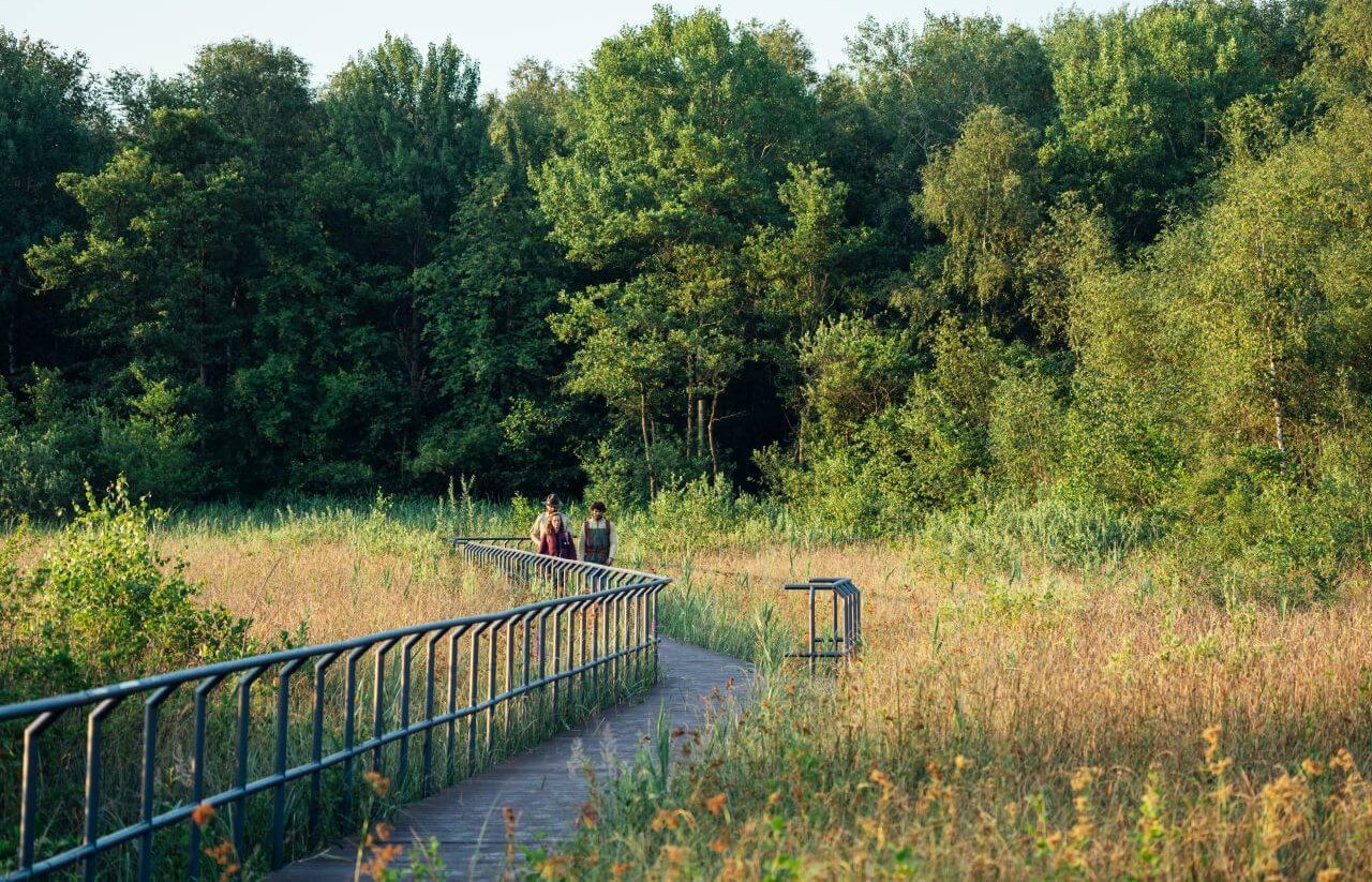 Auf über 800 km durch sieben Naturparke und einen Nationalpark führt der Naturparkweg durch Mecklenburg-Vorpommern., © TMV/Gänsicke