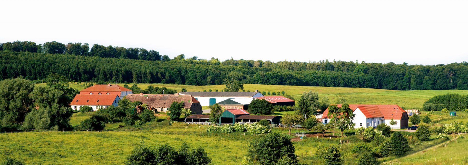 Das Gut und die Gourmet Manufaktur in Klepelshagen eingebettet in die Landschaft der Brohmer Berge, © Gourmet Manufaktur Gut Klepelshagen