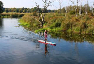 Mit dem SUP - Stand Up Paddle Board auf der Peene bei Demmin unterwegs in Mecklenburg-Vorpommern.
Mecklenburgische Seenplatte, © TMV/Sebastian Hugo Witzel