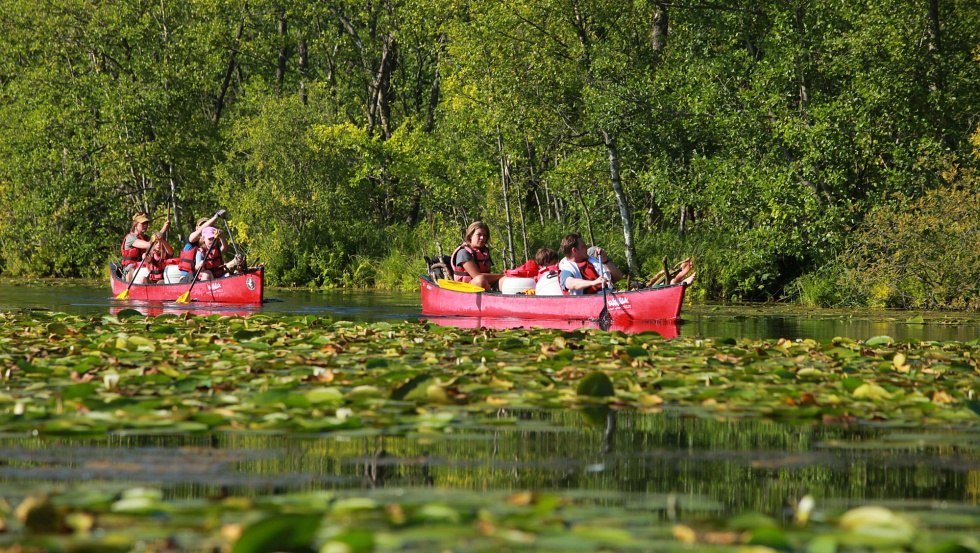 Unterwegs im Müritz-Nationalpark, © kanu basis mirow