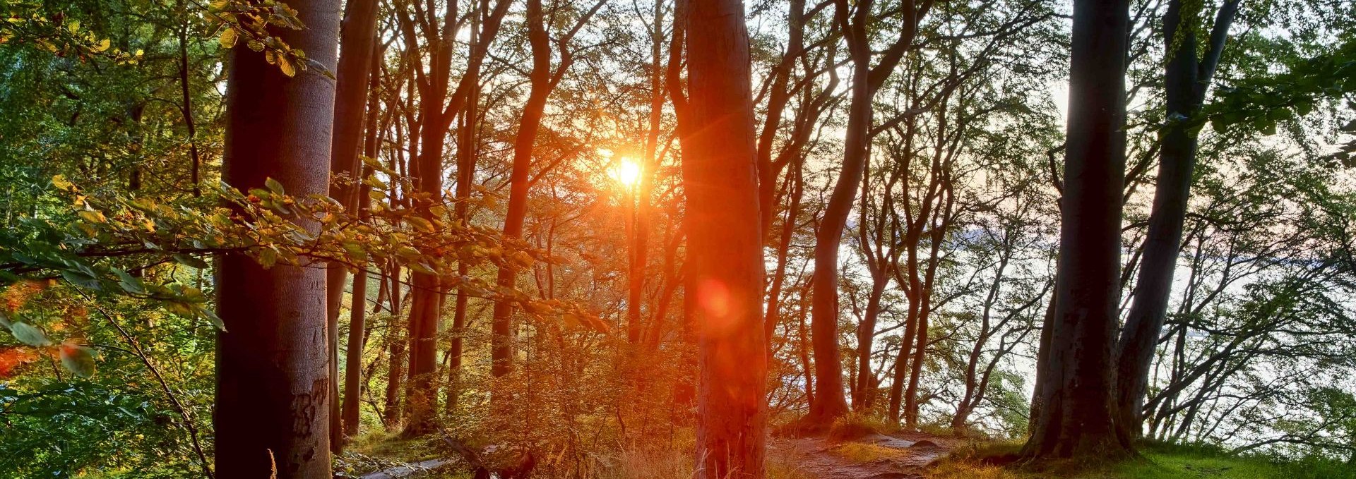 Literarischer Spaziergang (c) Kurverwaltung Goehren Martin Stoever_07-2019_P5I1472_71_70_69_68_HDR projects-2, © Kurverwaltung Goehren / Martin Stoever