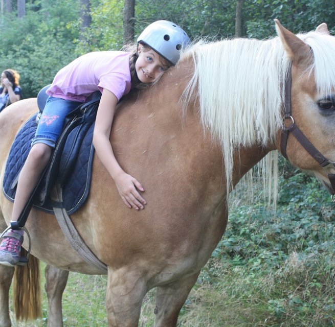 Für die Kleinen sind unsere Ponys die Größten- ruhig im Umgang, verlässlich und geländesicher., © Waldhof Bruchmühle