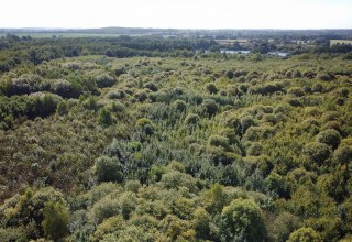 Klimawald Biosphärenreservat Schaalsee, © Landesforst MV