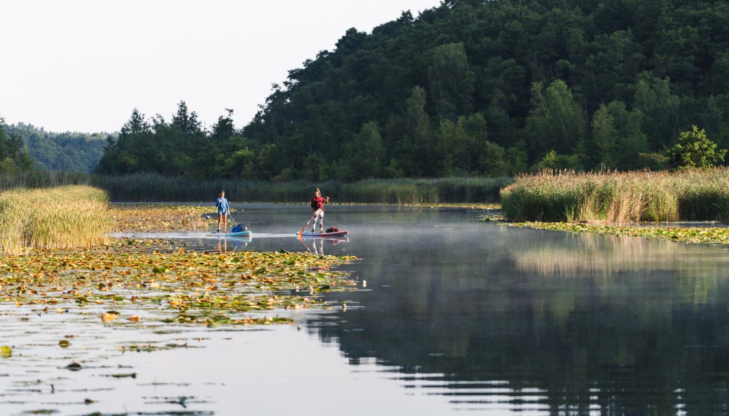 Zwei Frauen paddeln auf einem Stand-Up-Paddle-Board auf einem See. 