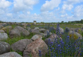 Findlingsgarten Carwitz, © Bildautor: Kurverwaltung Feldberger Seenlandschaft