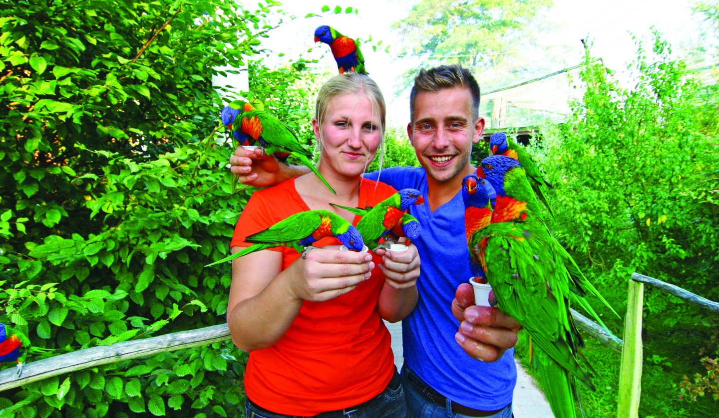 Besucher können die australischen Loris füttern, © Vogelpark Marlow/Zöger