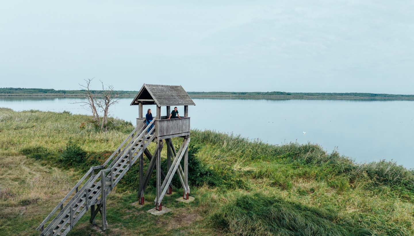 Aussichtsturm Riether Stiege am Stettiner Haff, © TMV/Gänsicke