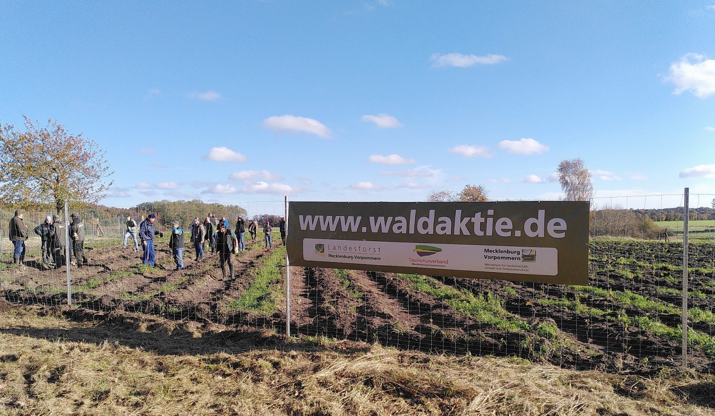 Ein Klimawald auf Rügen entsteht, © Johanna Köhnlein