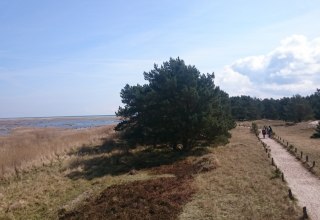 Blick auf den Libbertsee und Rundwanderweg Darßer Ort, © UB