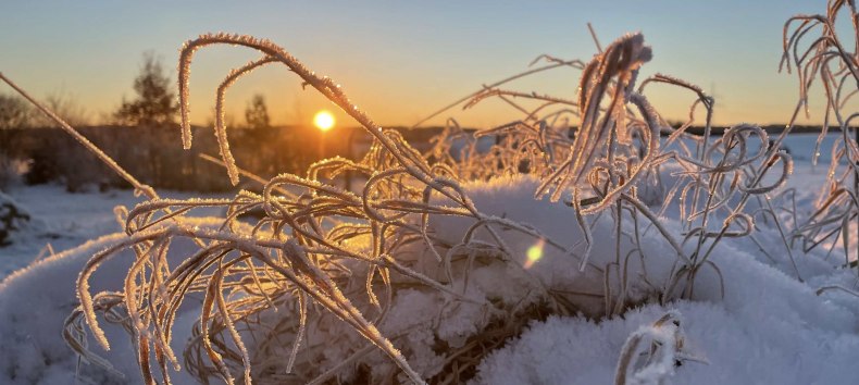 Paul Blei vom Förderverein wird mit Ihnen Spuren im Schnee (sofern vorhanden) suchen, Knospen und Zweige im Winterzustand bestimmen und die Überwinterungsstrategien der Insekten erläutern. Wer also Lust hat, seinen Kreislauf nach dem Winter wieder in Schwung zu bringen und frische Luft zu atmen, ist herzlichst bei dieser Wanderung rund um Burg Schlitz eingeladen., © Marin-Ziegler