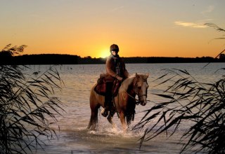 Mit dem Fennhof im äußersten nordosten Deutschlands das Abenteuer reiten hautnah und intensiv erleben, © Fennhof/ Hafermalz