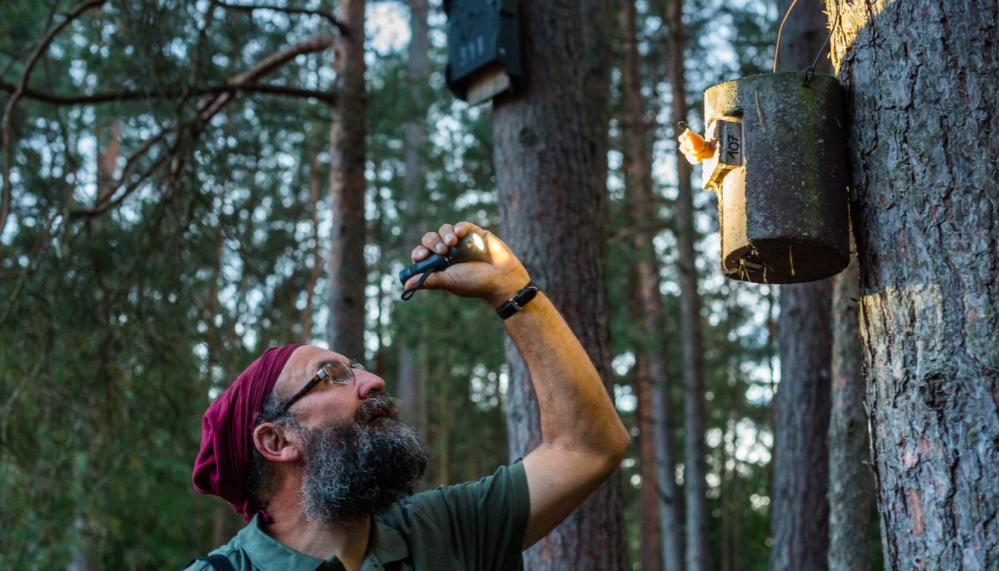 Alles zum Thema Fledermaus und Artenschutz können Naturbegeisterte bei einer Führung durch den Naturpark Nossentiner/Schwinzer Heide erfahren - hier in der Nähe des Paschensees und dem Wooster Teerofen., © TMV/Kirchgessner