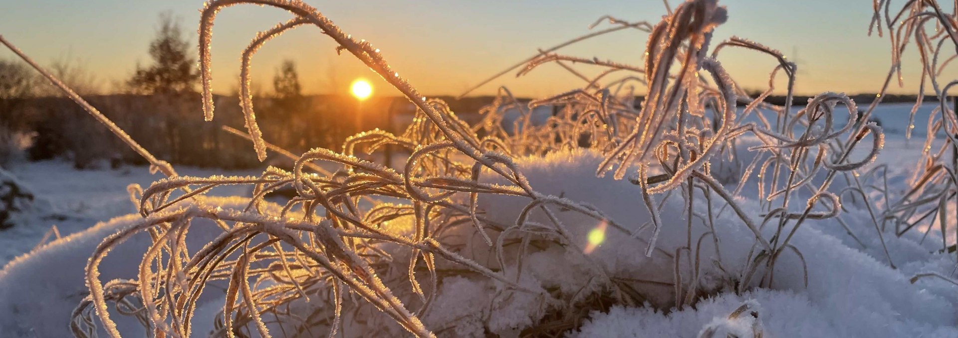 Paul Blei vom Förderverein wird mit Ihnen Spuren im Schnee (sofern vorhanden) suchen, Knospen und Zweige im Winterzustand bestimmen und die Überwinterungsstrategien der Insekten erläutern. Wer also Lust hat, seinen Kreislauf nach dem Winter wieder in Schwung zu bringen und frische Luft zu atmen, ist herzlichst bei dieser Wanderung rund um Burg Schlitz eingeladen., © Marin-Ziegler