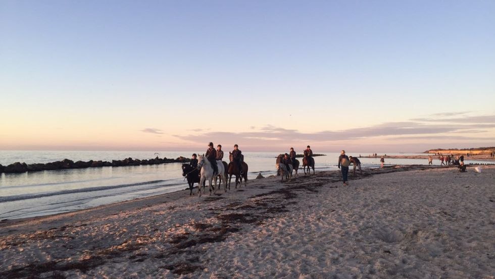 Mit "Bauer Hartmann" von Oktober bis April an die Ostsee reiten, © Bauer Hartmann/ Frauke Beier