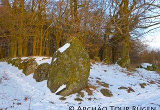 © Archäo Tour Rügen