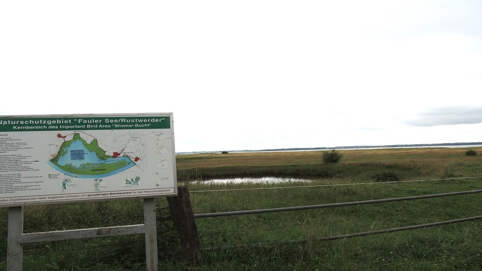 Informationstafel im Naturschutzgebiet "Fauler See", © Kurverwaltung Insel Poel