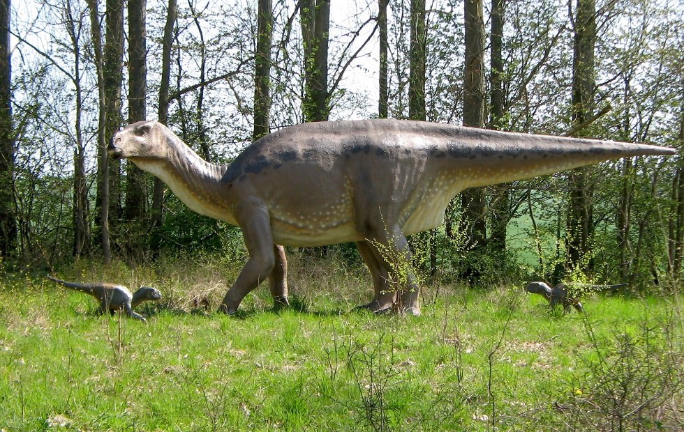 im Dinosaurierland Rügen, © Tourismuszentrale Rügen