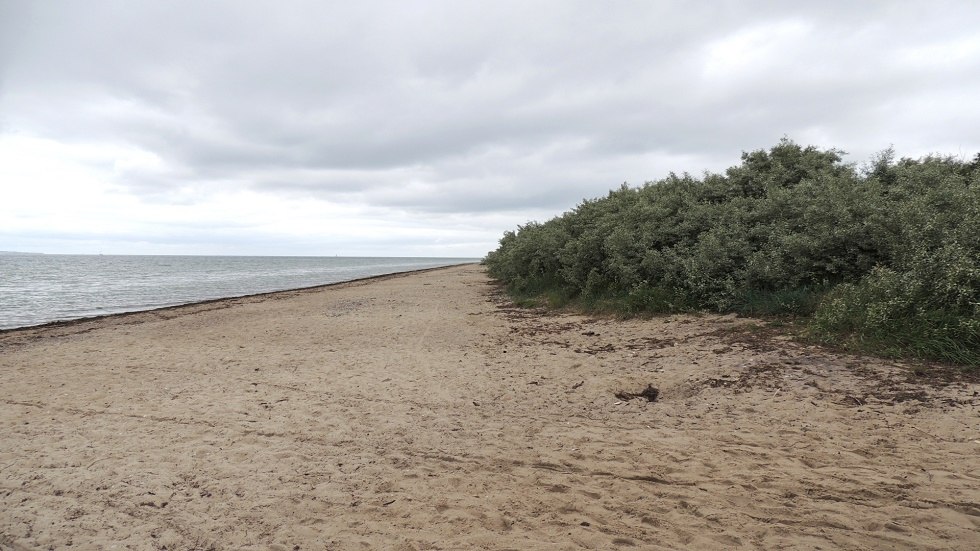 Blick Strand, © Kurverwaltung Insel Poel