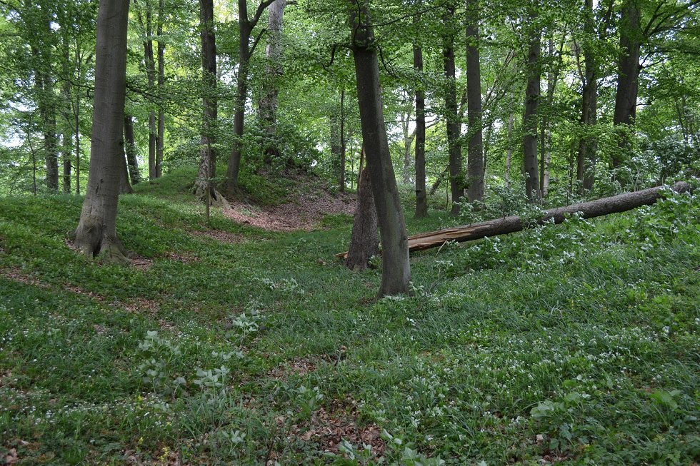 In der Höhenburg., © Lutz Werner