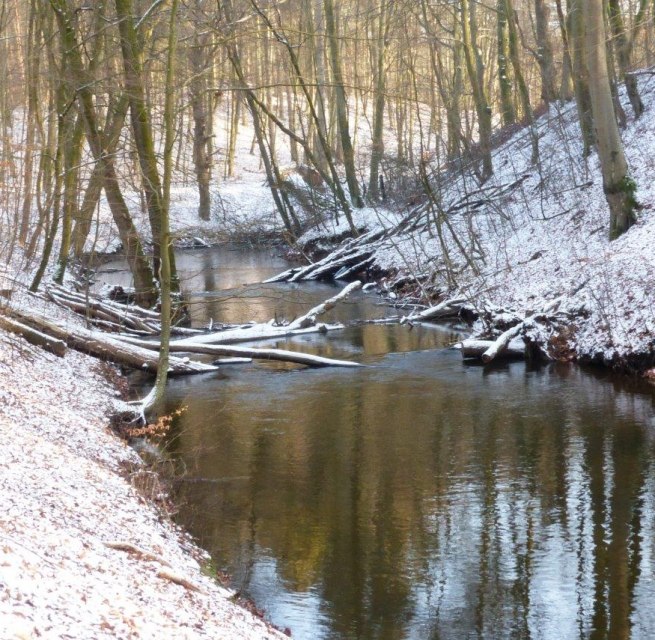 © Naturpark Nossentiner/Schwinzer Heide