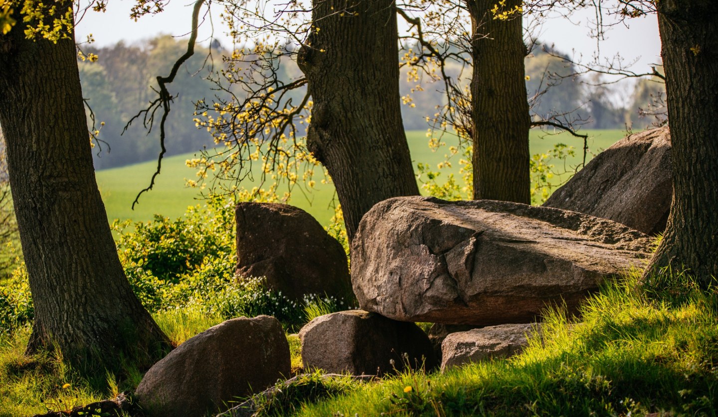 Wanderung: Giganten der Steinzeit - Die Häuser der Toten, © Binzer Bucht Tourismus | Ch. Thiele