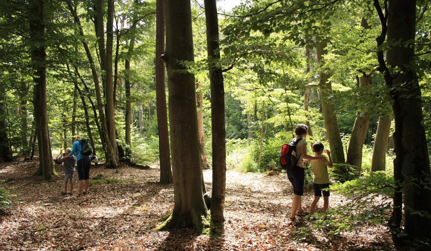 Der Natur auf der Spur, © NPA Vorpommern