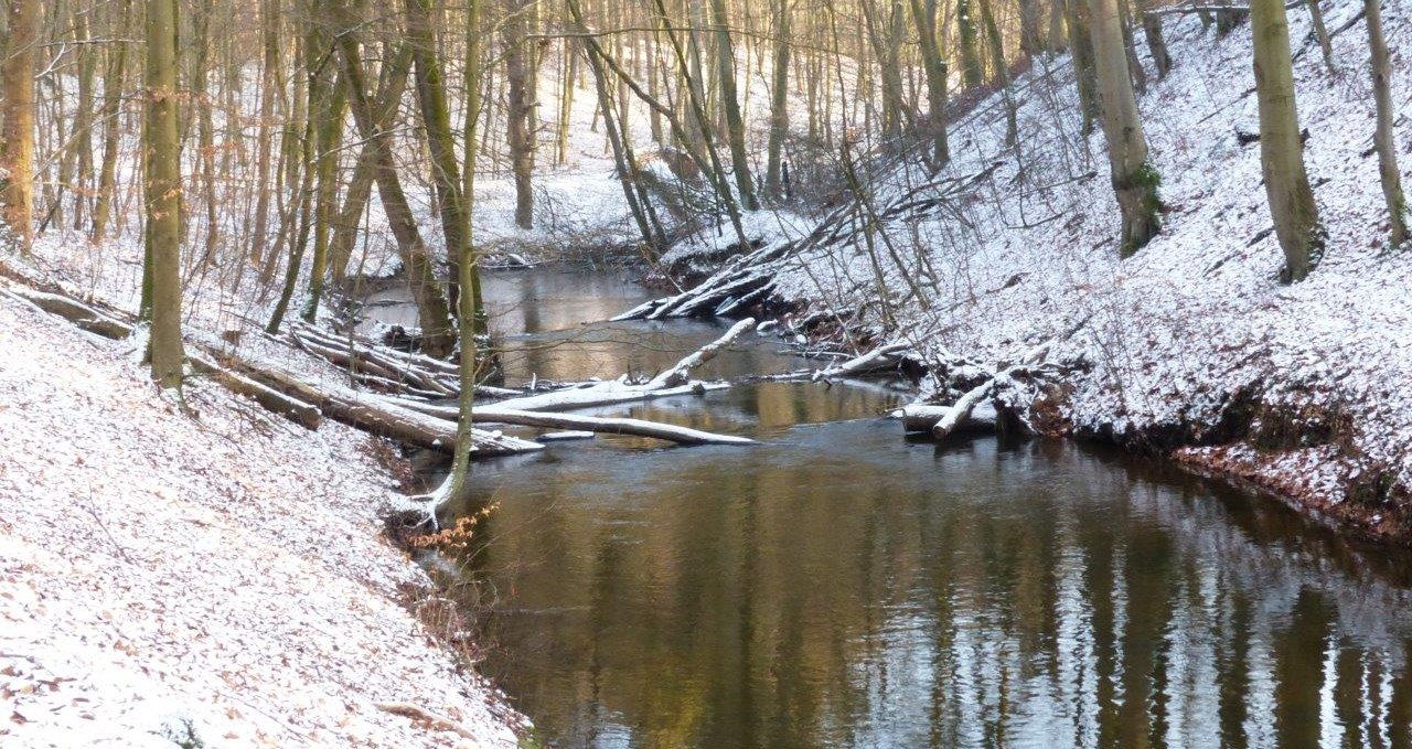 Mildenitz_Durchbruchstal, © Naturpark Nossentiner/Schwinzer Heide