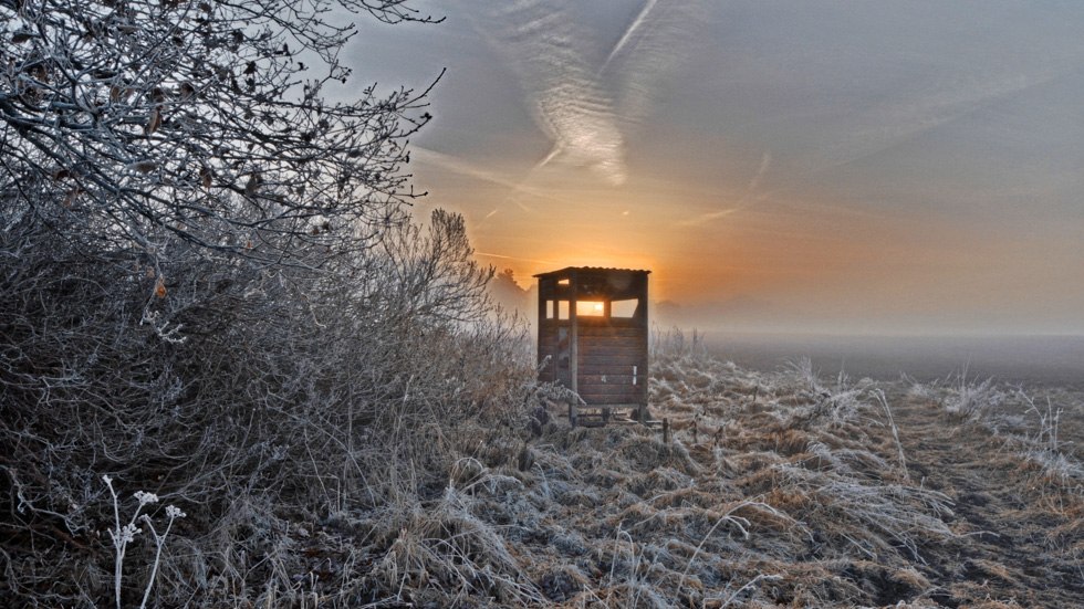 Hochsitz in Abenddämmerung, © Uwe Meyer