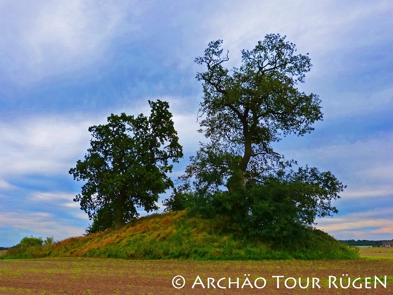 Blick auf das mit knorrigen Eichen bewachsene Hügelgrab "Himmel", © Archäo Tour Rügen