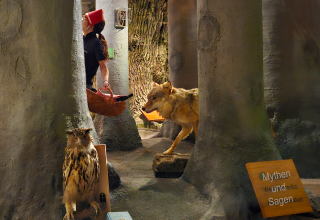 Rotkäppchen und der Wolf im Ausstellungsbereich Buchenwald, © Müritzeum