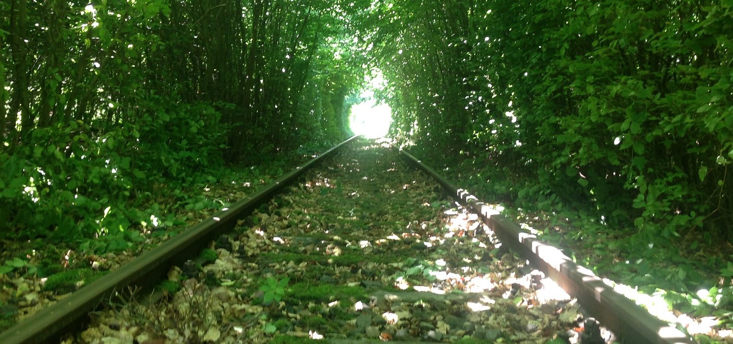 Einfahrt in den ca. 1km langen Buchentunnel, © Naturpark Draisine Dargun