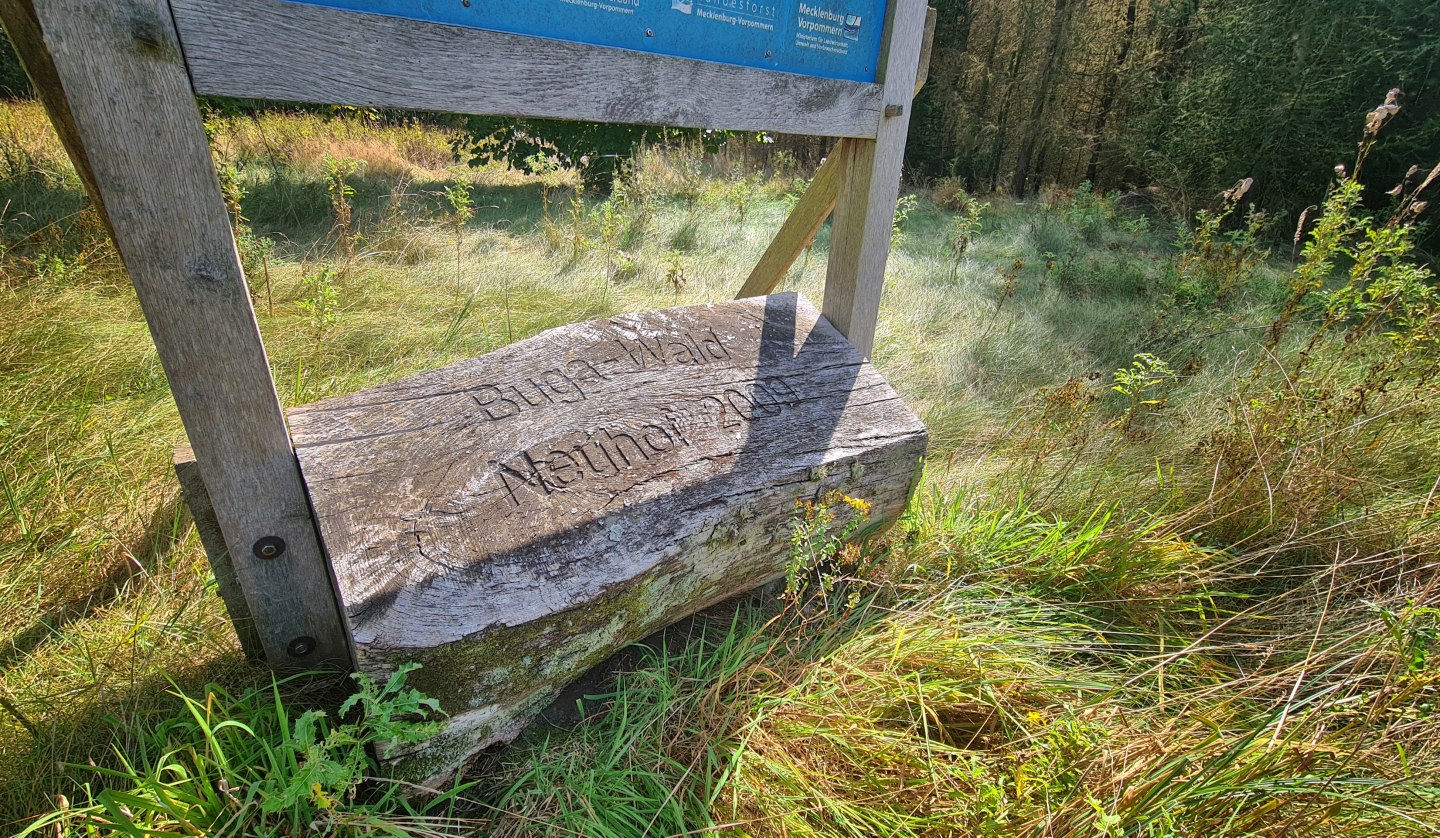 Klimawald Neuhof - Zur Bundesgartenschau 2009, © Landesforst MV