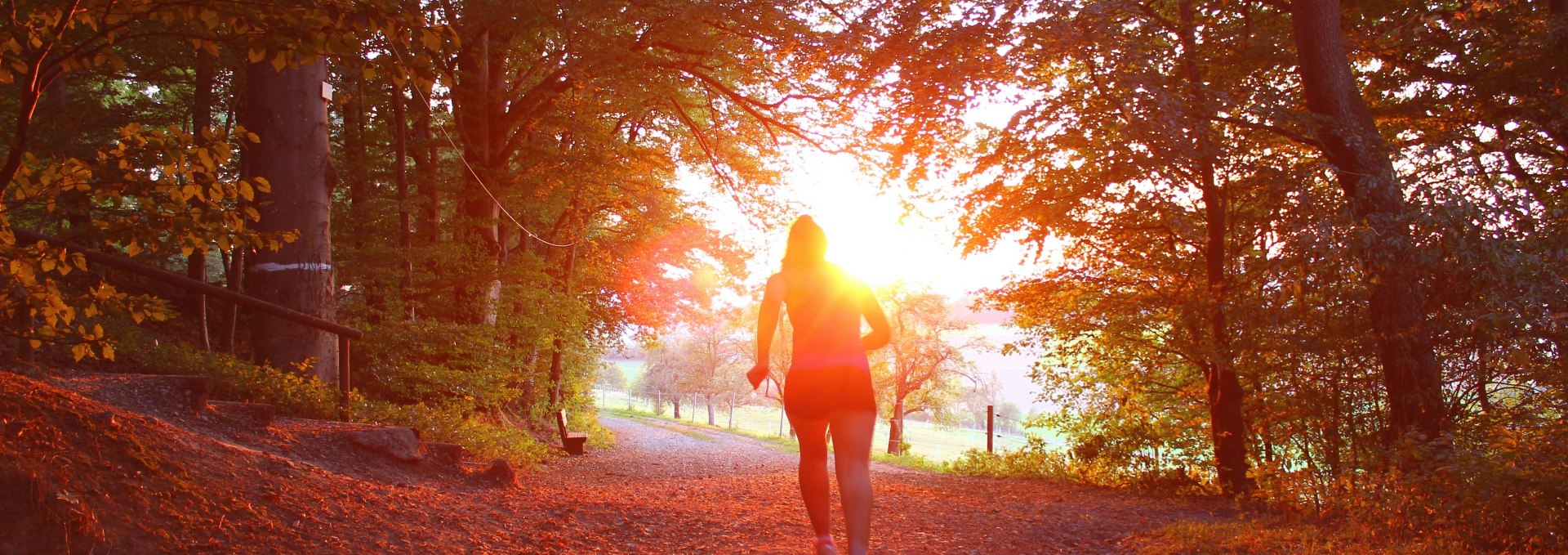 Symbolfoto | Graal-Müritzer Schneckenlauf, © Foto von Nathalie Désirée Mottet auf Unsplash