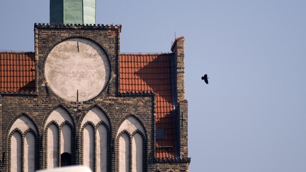 Torvogel, © Andreas Günther, Geschichtswerkstatt Rostock