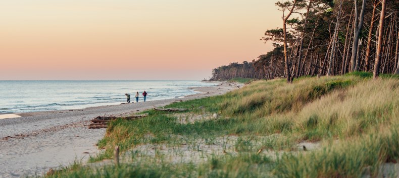 Ein idyllischer Spaziergang am Weststrand auf dem Darß: Drei Personen genießen den Sonnenuntergang, während die Küste in warmen Farben erstrahlt und die Natur zur Ruhe kommt.