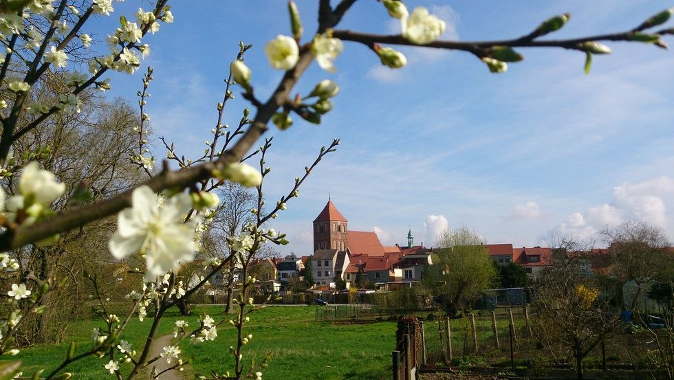 Blick auf die Stadtkirche St. Peter und Paul, © Jana Koch