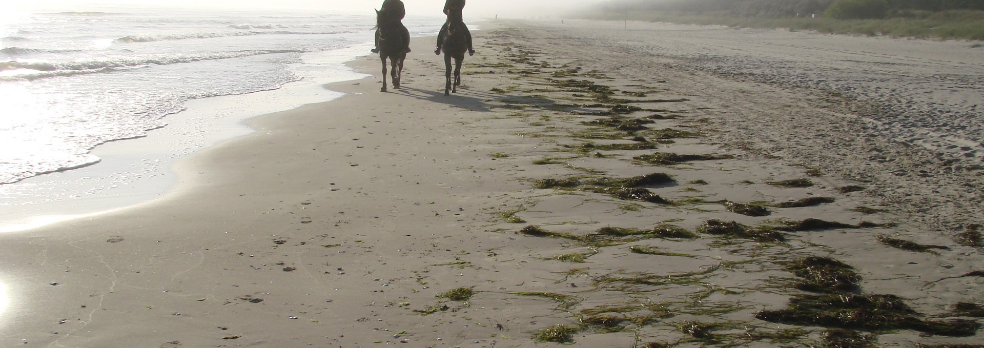 Ausritt am Strand in Trassenheide, © Hotel Friesenhof