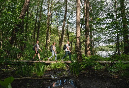 Die Natur des Sternberger Seenlandes lässt sich auf viele Weise und Wegen erkunden. Drei Freunde machen sich auf, hier zu Fuß durch die dichten Wälder am Ufer des Labenzer Sees. , © TMV/Gross