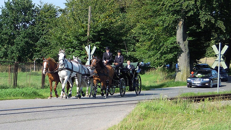 Regelmäßige Touren mit der Kutsche oder dem Kremser sind ab dem Hof-Viervitz über die Insel Rügen möglich, © Hof-Viervitz/Hermann