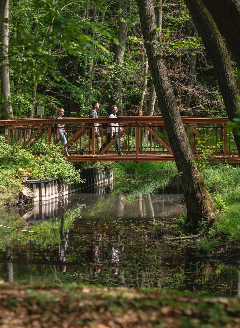 Die Graupenmühler Brücke führt über den idyllischen Radebach., © TMV/Gross