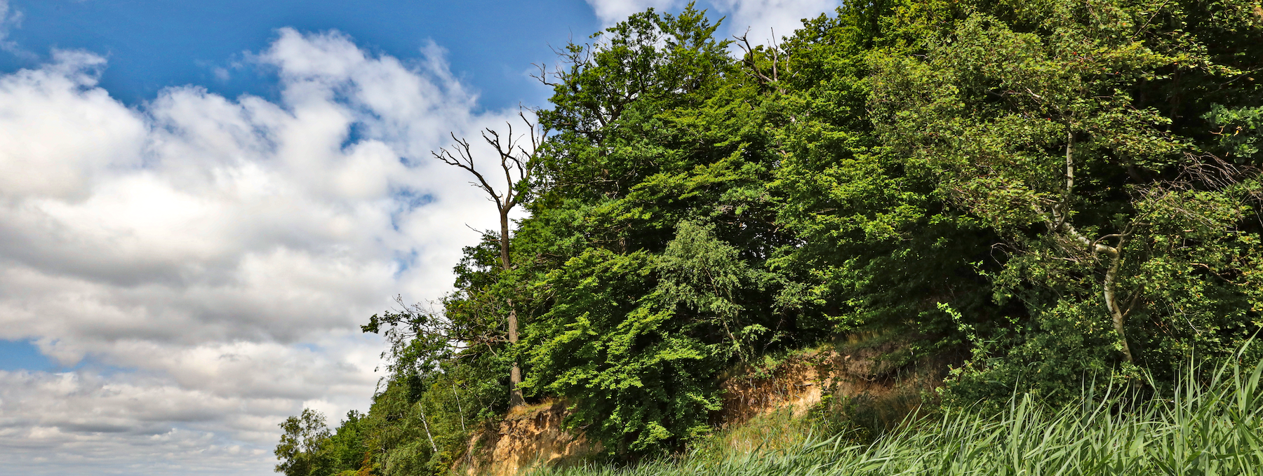 pfad-der-musse-und-erkenntnis_3, © TMV/Gohlke