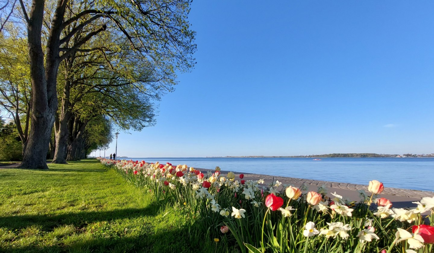 Sundpromenade im Frühling, © Kredl / TZ HST