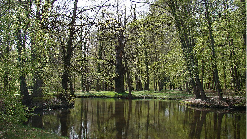 Ludwigslust Schlosspark Fruehling, © Tourismusverband Mecklenburg-Schwerin