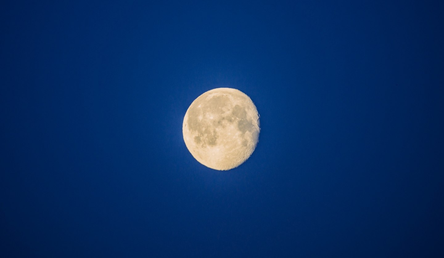 Vollmond auf dem Baumwipfelpfad, © Binzer Bucht Tourismus | Ch. Thiele