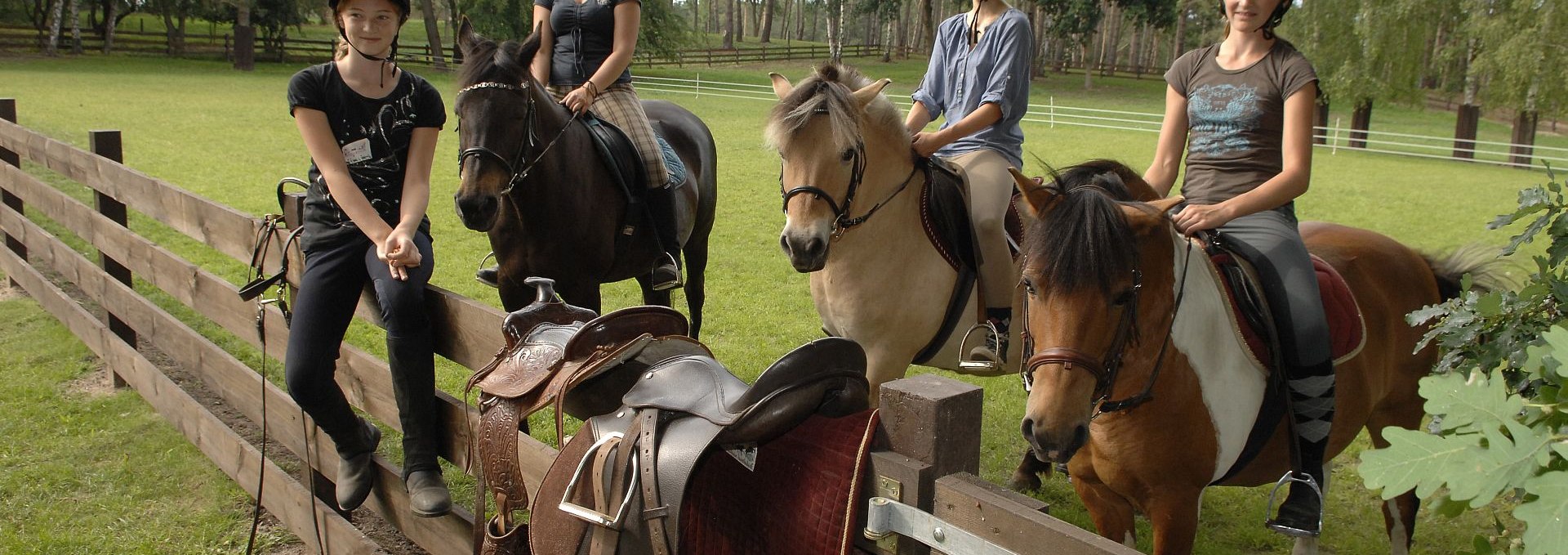 Reiten auf Ponys und Pferden, © Timo Weisbrich