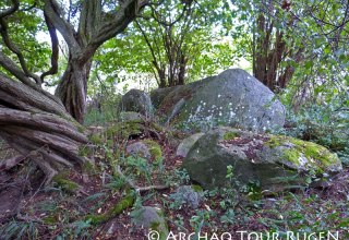 Versteckt im Gebüsch liegen die Reste des Großsteingrabes "Teetsbusch"., © Archäo Tour Rügen